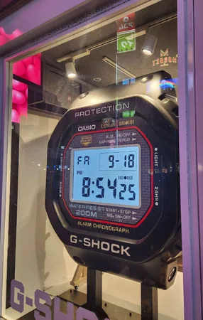 שיבויה — תמונה 13